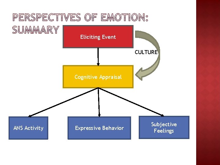 Eliciting Event CULTURE Cognitive Appraisal ANS Activity Expressive Behavior Subjective Feelings Eliciting Event CULTURE Cognitive Appraisal ANS Activity Expressive Behavior Subjective Feelings