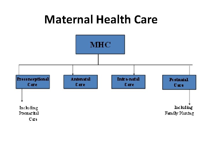 Maternal Health Care 