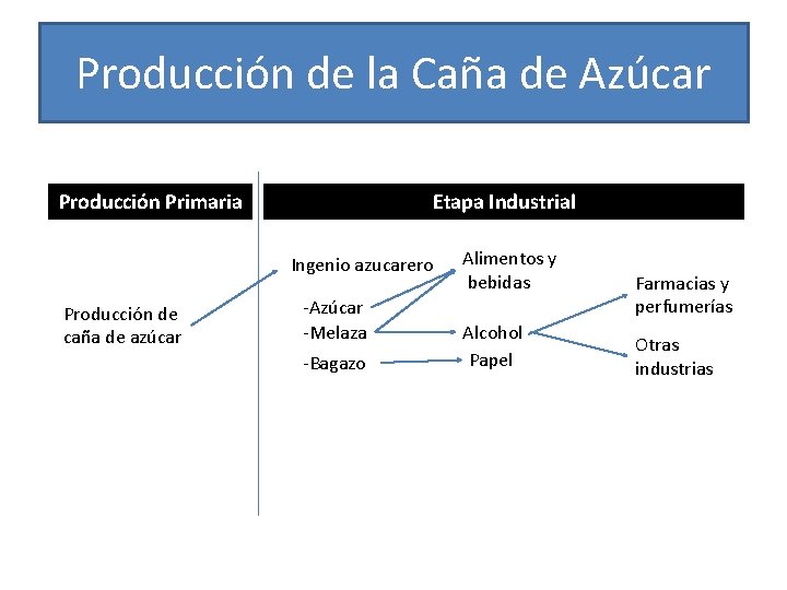 Producción de la Caña de Azúcar Producción Primaria Etapa Industrial Ingenio azucarero Producción de