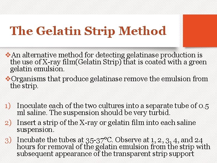 The Gelatin Strip Method v. An alternative method for detecting gelatinase production is the