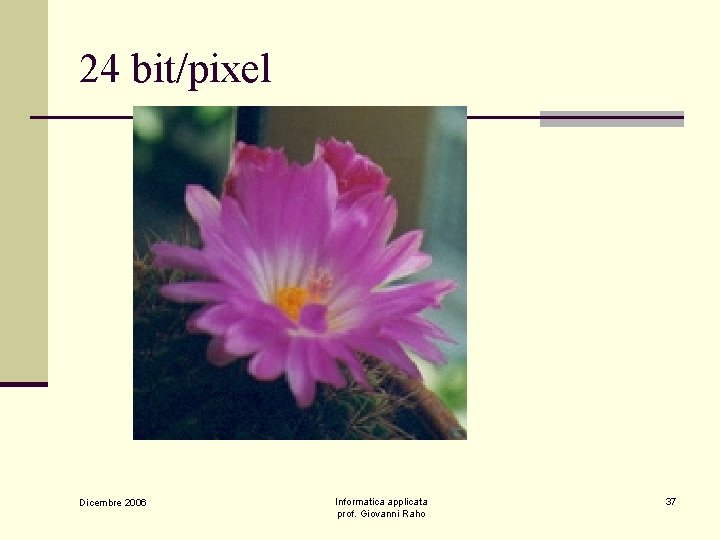 24 bit/pixel Dicembre 2006 Informatica applicata prof. Giovanni Raho 37 
