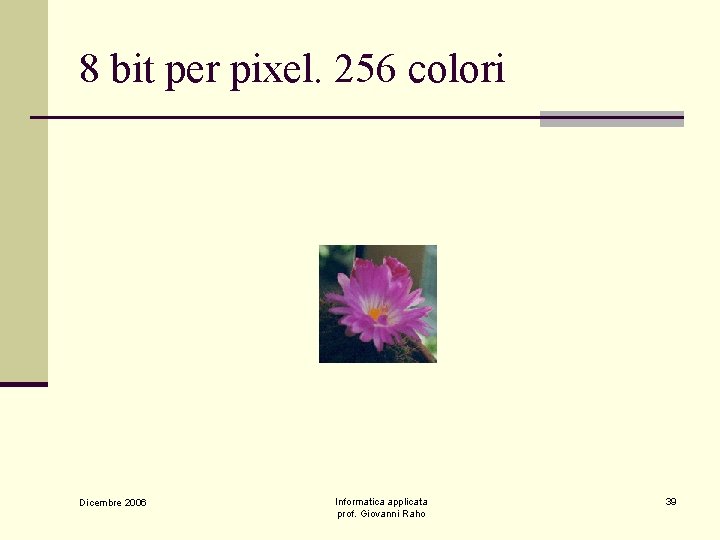 8 bit per pixel. 256 colori Dicembre 2006 Informatica applicata prof. Giovanni Raho 39