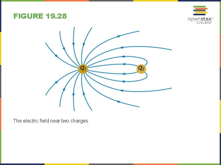 FIGURE 19. 28 The electric field near two charges. 