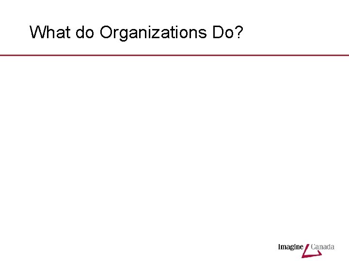 What do Organizations Do? 