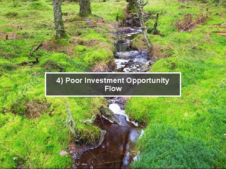 4) Poor Investment Opportunity Flow 