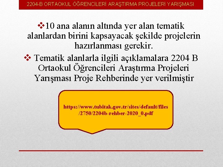 2204 -B ORTAOKUL ÖĞRENCİLERİ ARAŞTIRMA PROJELERİ YARIŞMASI v 10 ana alanın altında yer alan