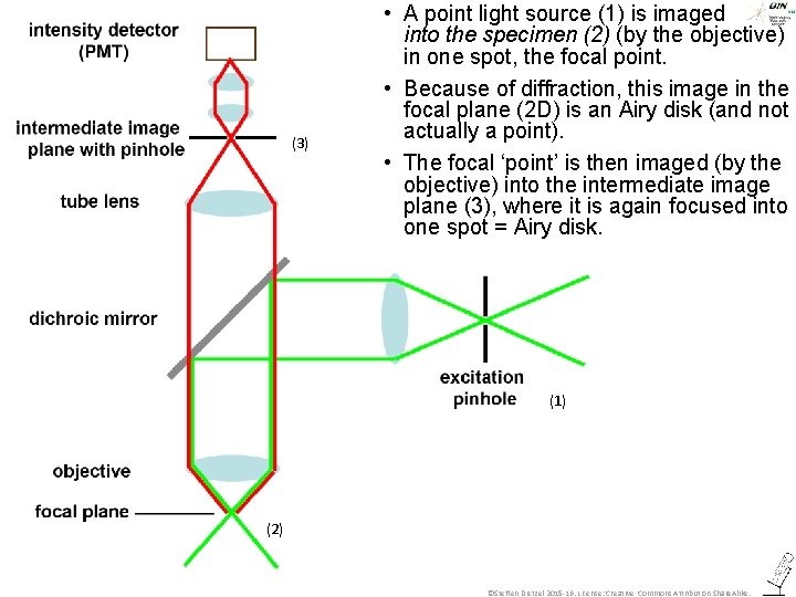 (3) • A point light source (1) is imaged into the specimen (2) (by