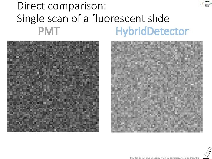 Direct comparison: Single scan of a fluorescent slide PMT Hybrid. Detector ©Steffen Dietzel 2015