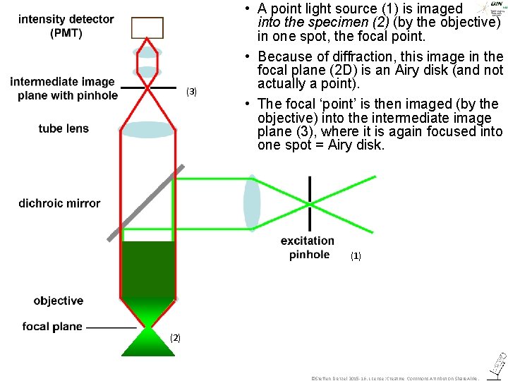 (3) • A point light source (1) is imaged into the specimen (2) (by