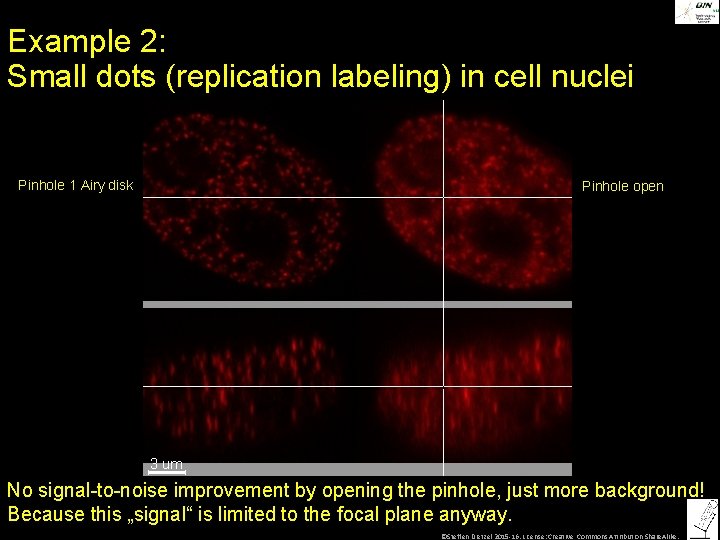 Example 2: Small dots (replication labeling) in cell nuclei Pinhole 1 Airy disk Pinhole