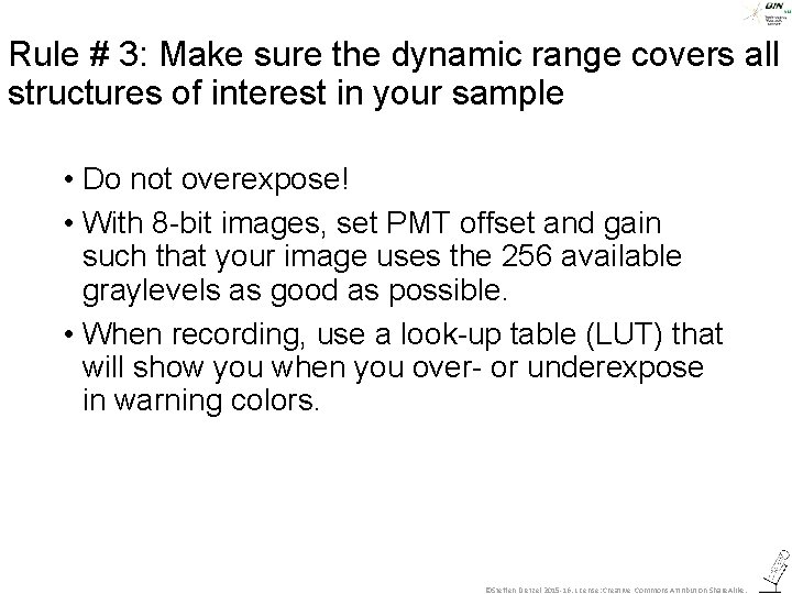 Rule # 3: Make sure the dynamic range covers all structures of interest in