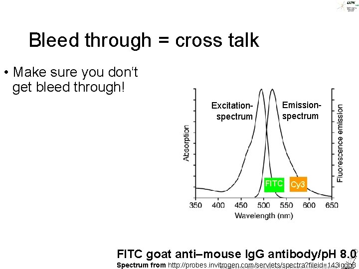 Bleed through = cross talk • Make sure you don‘t get bleed through! Excitationspectrum