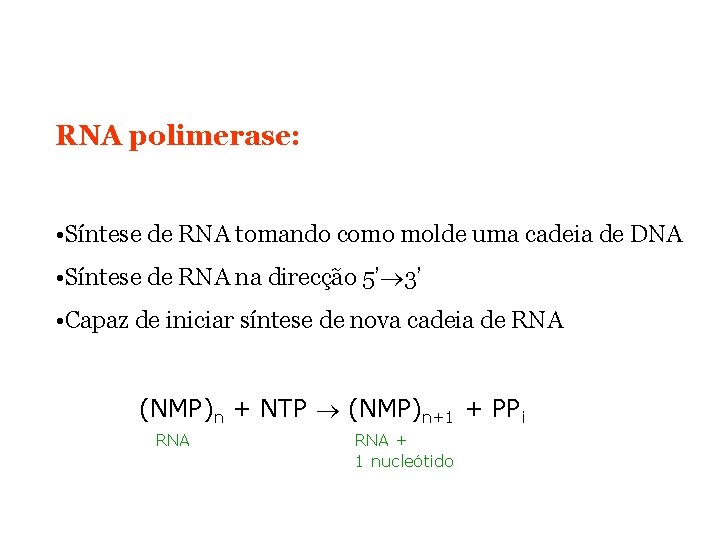 RNA polimerase: • Síntese de RNA tomando como molde uma cadeia de DNA •