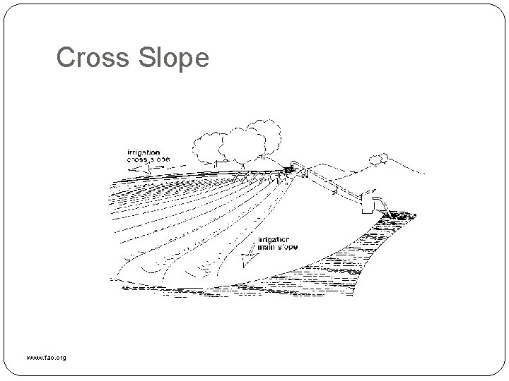 Cross Slope www. fao. org 