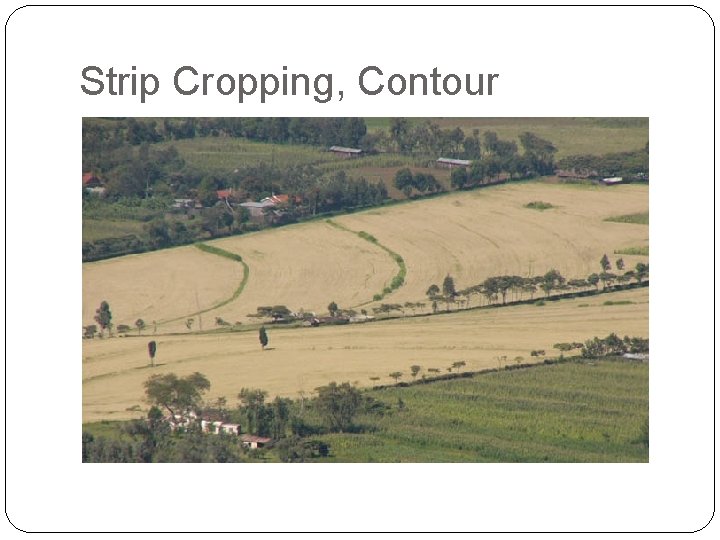 Strip Cropping, Contour 