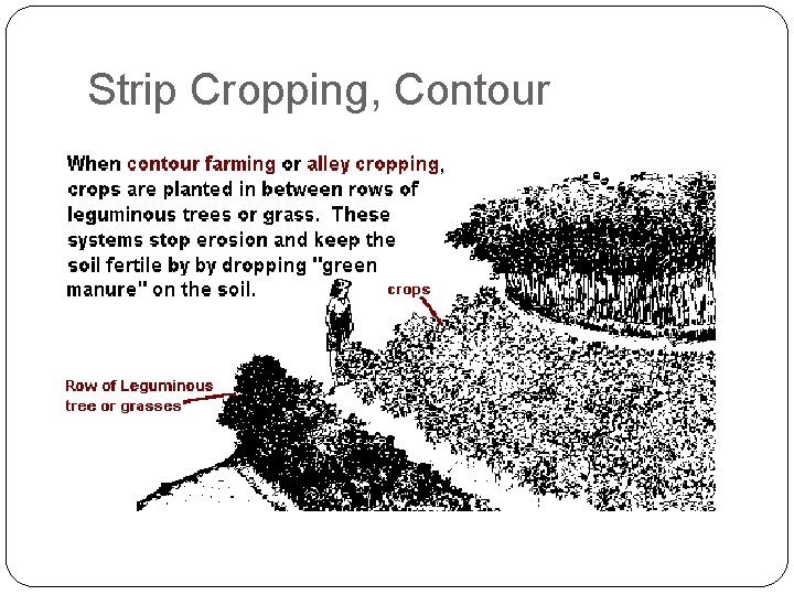 Strip Cropping, Contour 