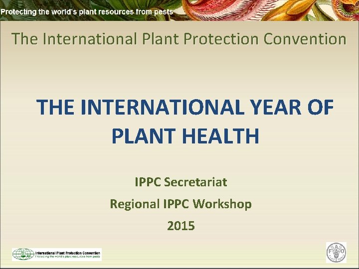 The International Plant Protection Convention THE INTERNATIONAL YEAR OF PLANT HEALTH IPPC Secretariat Regional