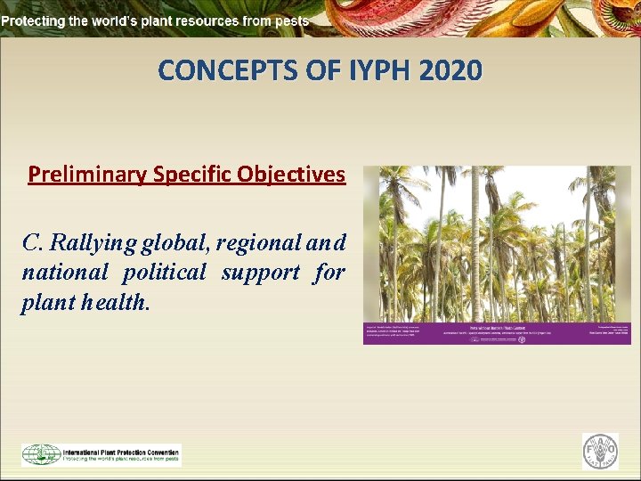 CONCEPTS OF IYPH 2020 Preliminary Specific Objectives C. Rallying global, regional and national political