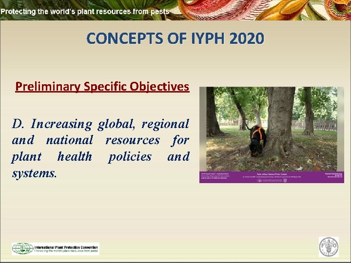 CONCEPTS OF IYPH 2020 Preliminary Specific Objectives D. Increasing global, regional and national resources