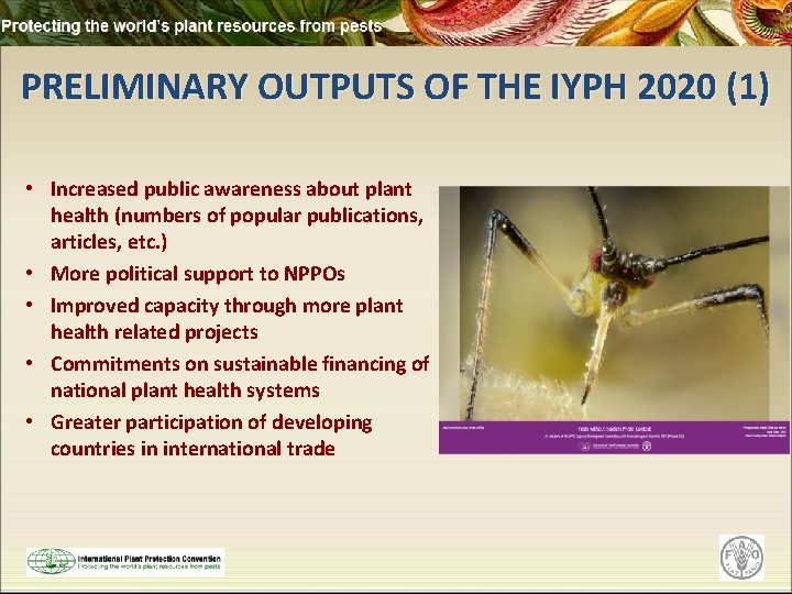 PRELIMINARY OUTPUTS OF THE IYPH 2020 (1) • Increased public awareness about plant health