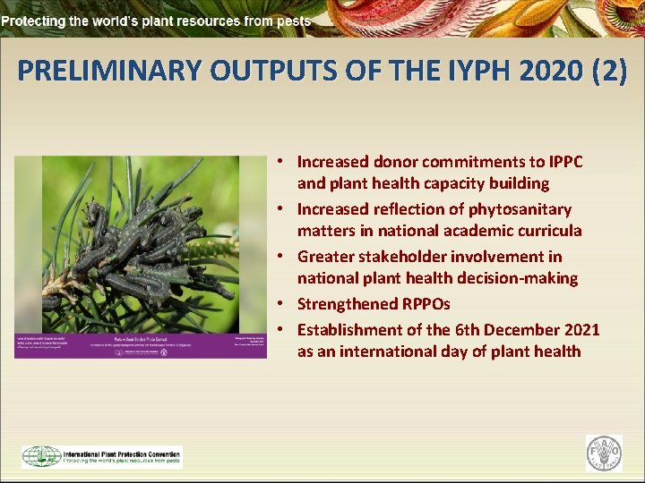 PRELIMINARY OUTPUTS OF THE IYPH 2020 (2) • Increased donor commitments to IPPC and