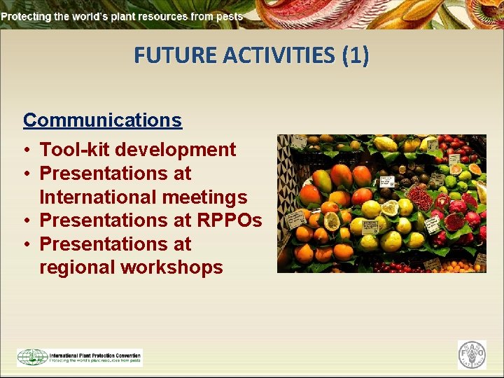 FUTURE ACTIVITIES (1) Communications • Tool-kit development • Presentations at International meetings • Presentations
