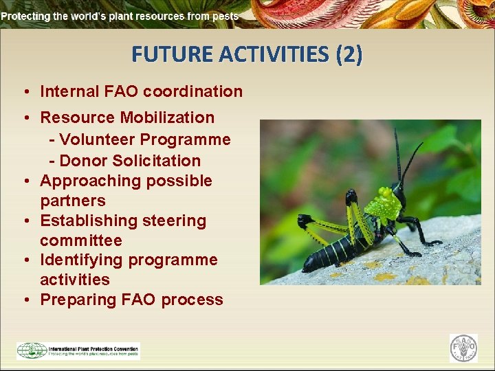 FUTURE ACTIVITIES (2) • Internal FAO coordination • Resource Mobilization - Volunteer Programme -