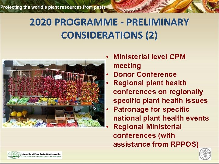 2020 PROGRAMME - PRELIMINARY CONSIDERATIONS (2) • Ministerial level CPM meeting • Donor Conference