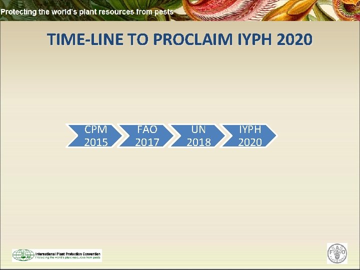 TIME-LINE TO PROCLAIM IYPH 2020 CPM 2015 FAO 2017 UN 2018 IYPH 2020 