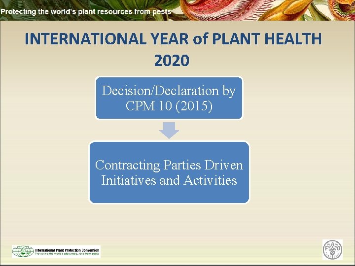 INTERNATIONAL YEAR of PLANT HEALTH 2020 Decision/Declaration by CPM 10 (2015) Contracting Parties Driven