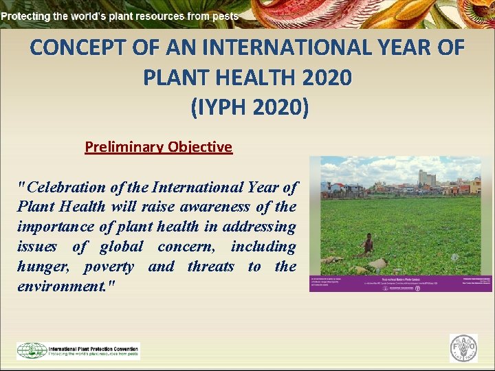 CONCEPT OF AN INTERNATIONAL YEAR OF PLANT HEALTH 2020 (IYPH 2020) Preliminary Objective "Celebration