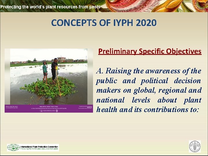 CONCEPTS OF IYPH 2020 Preliminary Specific Objectives A. Raising the awareness of the public