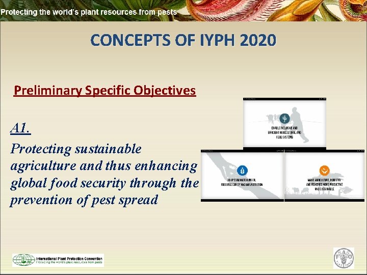 CONCEPTS OF IYPH 2020 Preliminary Specific Objectives A 1. Protecting sustainable agriculture and thus