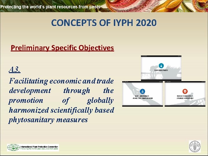 CONCEPTS OF IYPH 2020 Preliminary Specific Objectives A 3. Facilitating economic and trade development