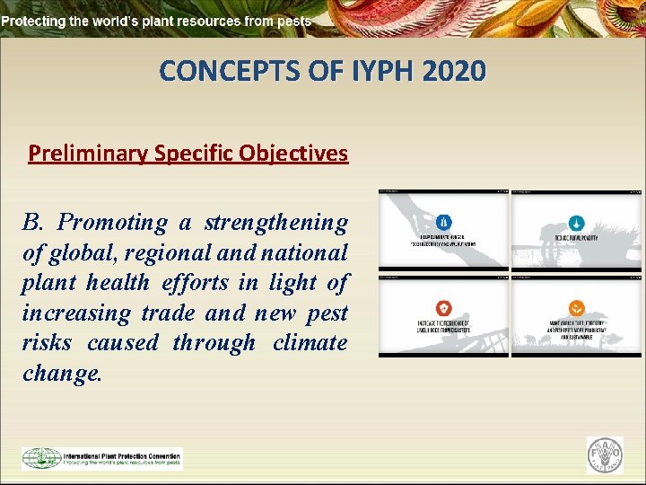 CONCEPTS OF IYPH 2020 Preliminary Specific Objectives B. Promoting a strengthening of global, regional