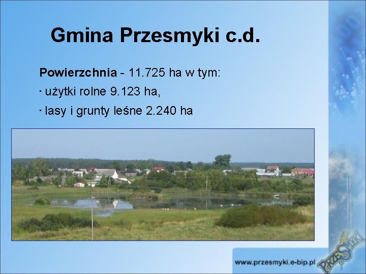 Gmina Przesmyki c. d. Powierzchnia - 11. 725 ha w tym: • użytki rolne