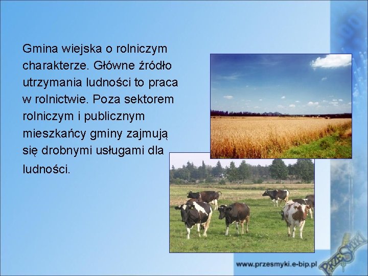 Gmina wiejska o rolniczym charakterze. Główne źródło utrzymania ludności to praca w rolnictwie. Poza