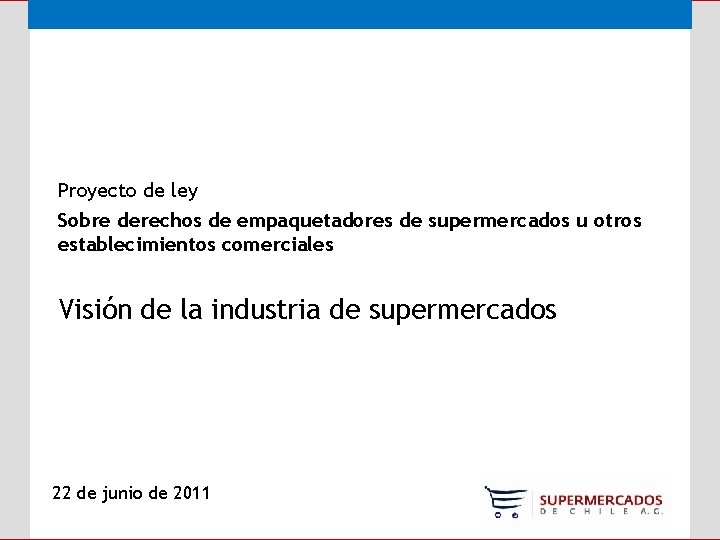 Proyecto de ley Sobre derechos de empaquetadores de supermercados u otros establecimientos comerciales Visión