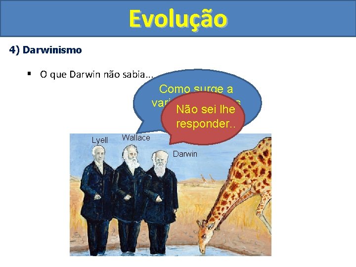 Evolução 4) Darwinismo § O que Darwin não sabia. . . Como surge a