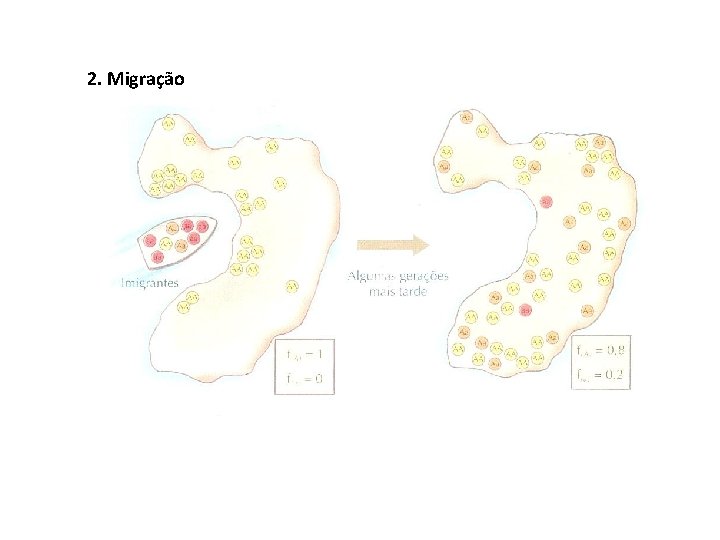 2. Migração 