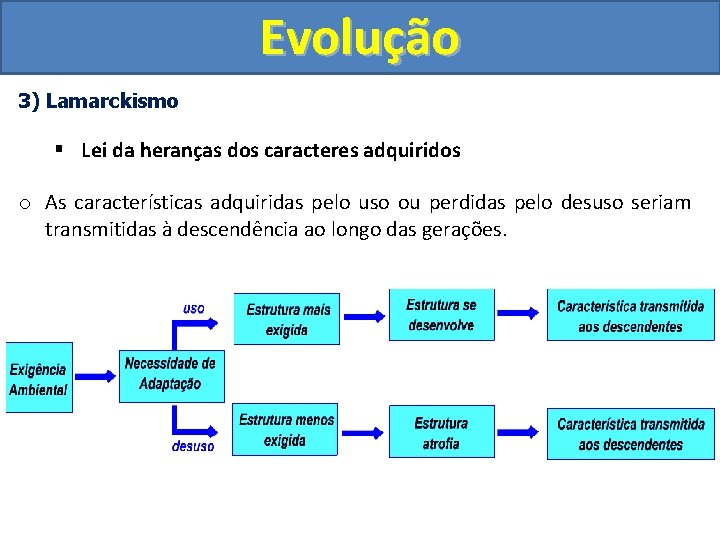 Evolução 3) Lamarckismo § Lei da heranças dos caracteres adquiridos o As características adquiridas