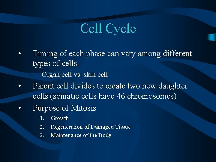 Cell Cycle • Timing of each phase can vary among different types of cells.