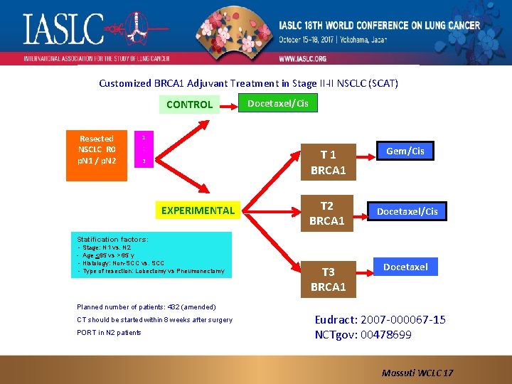 Customized BRCA 1 Adjuvant Treatment in Stage II-II NSCLC (SCAT) CONTROL Resected NSCLC R