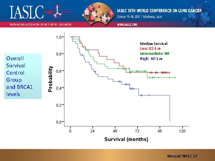 Overall Survival Control Group and BRCA 1 levels Median Survival Low: 82. 4 m