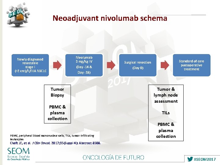 Neoadjuvant nivolumab schema Nivolumab 3 mg/kg IV Newly diagnosed resectable stage I (>2 cm)/II/IIIA