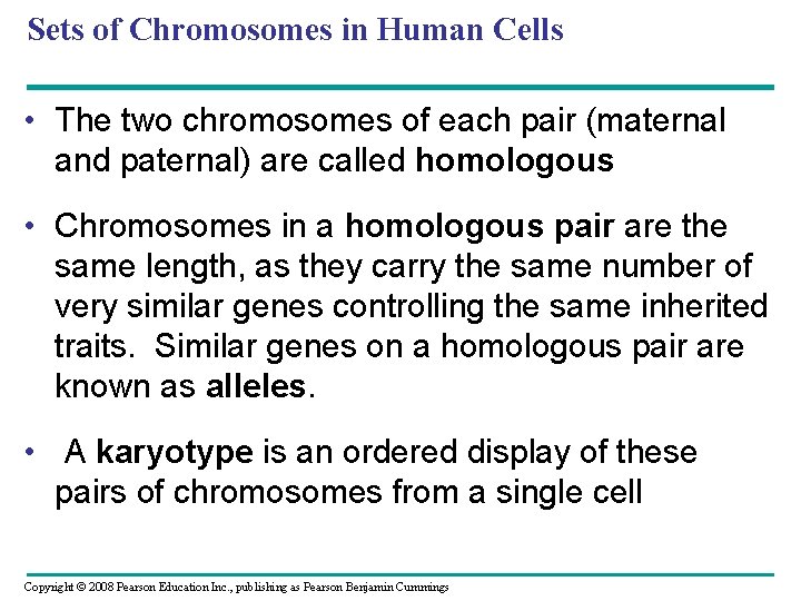 Sets of Chromosomes in Human Cells • The two chromosomes of each pair (maternal