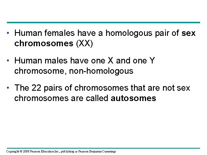  • Human females have a homologous pair of sex chromosomes (XX) • Human