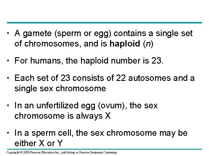  • A gamete (sperm or egg) contains a single set of chromosomes, and