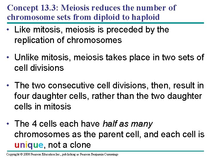 Concept 13. 3: Meiosis reduces the number of chromosome sets from diploid to haploid