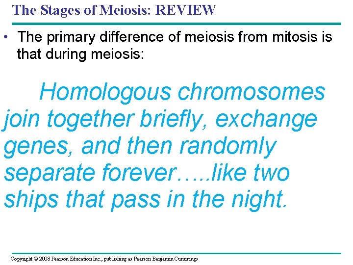 The Stages of Meiosis: REVIEW • The primary difference of meiosis from mitosis is